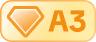 A3