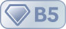 B5